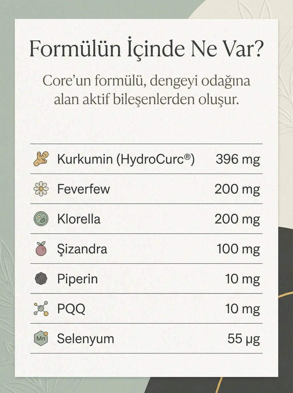 ZLF Core Anti-İnflamasyon & Antioksidan