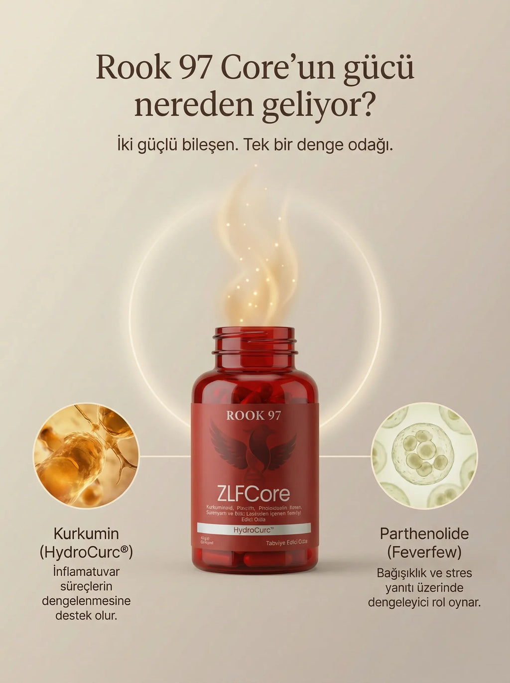 ZLF Core Anti-İnflamasyon & Antioksidan