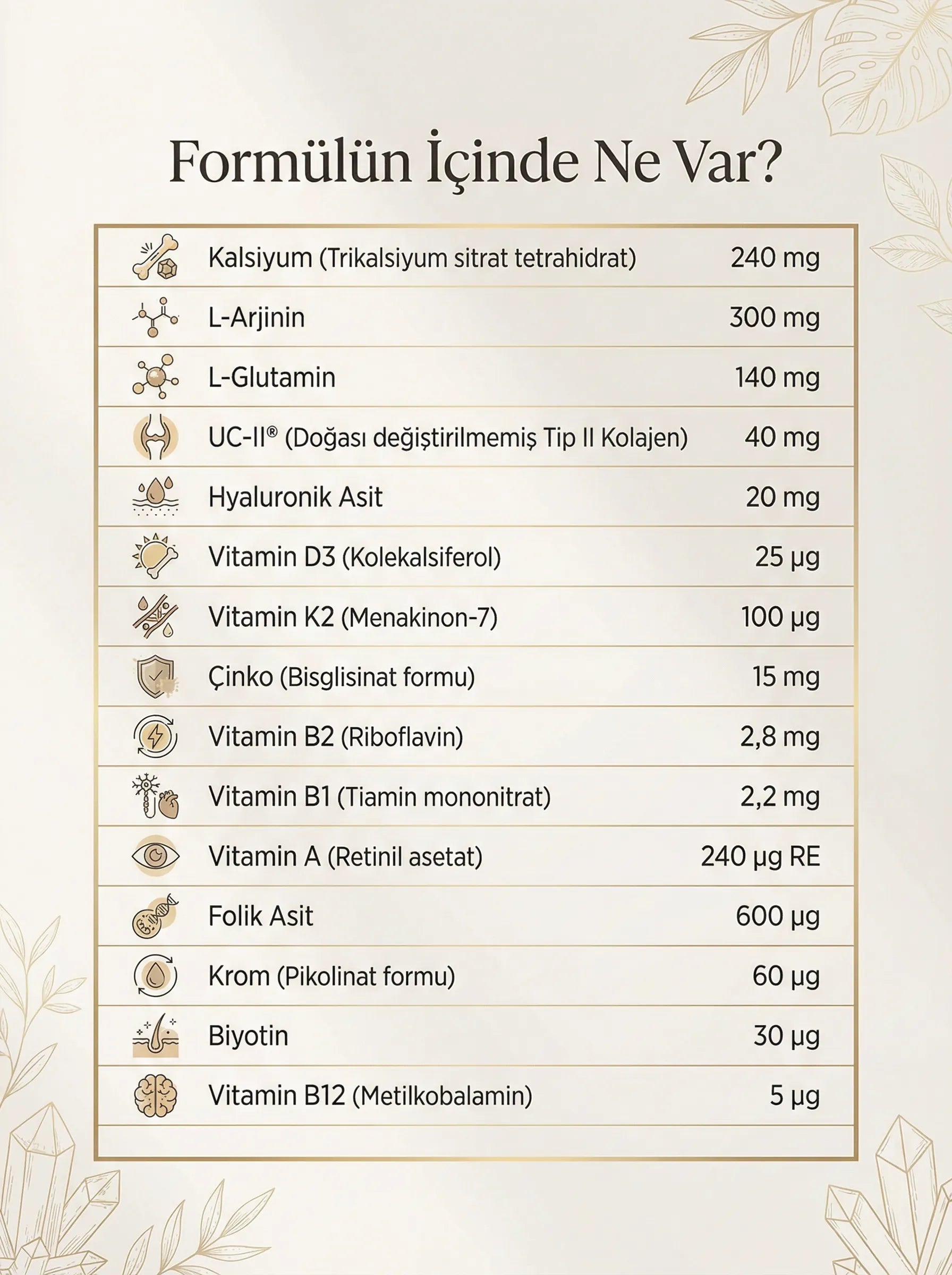 ZLF Vertalis