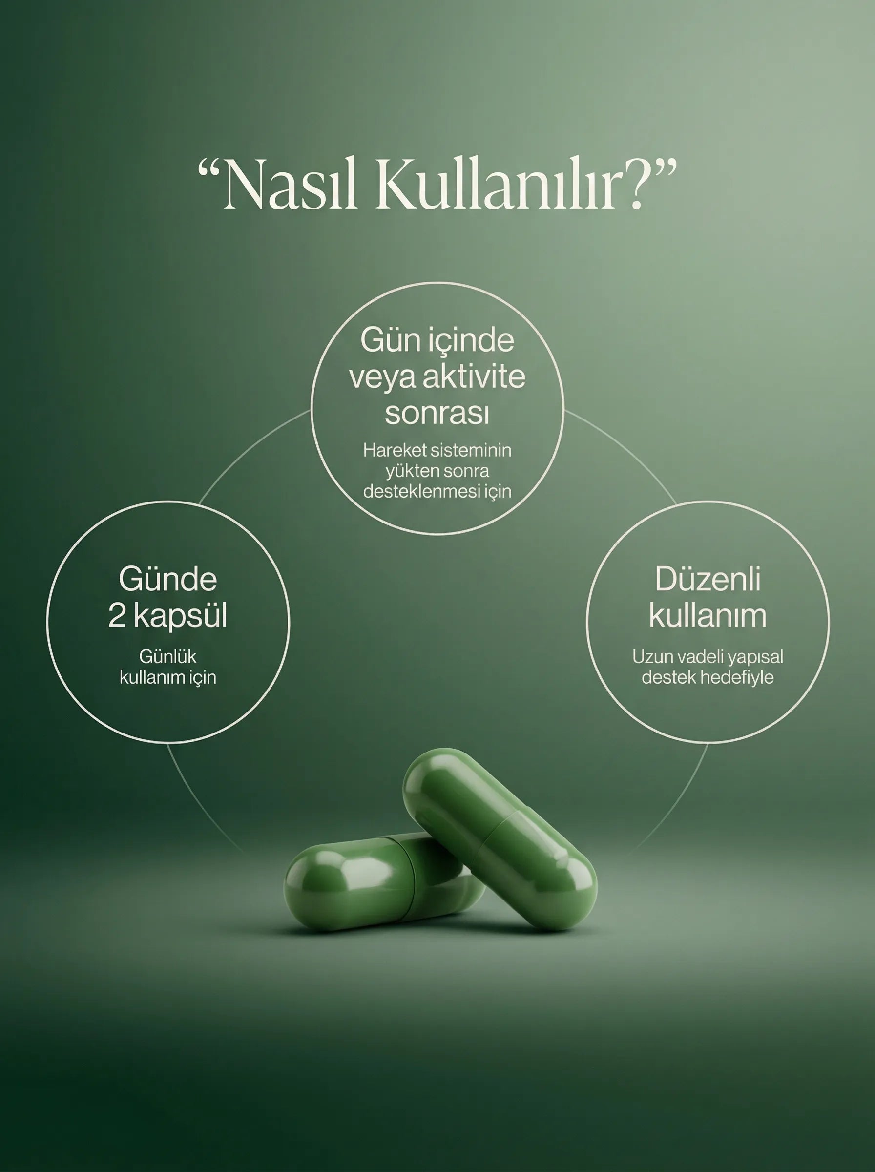 ZLF Vertalis