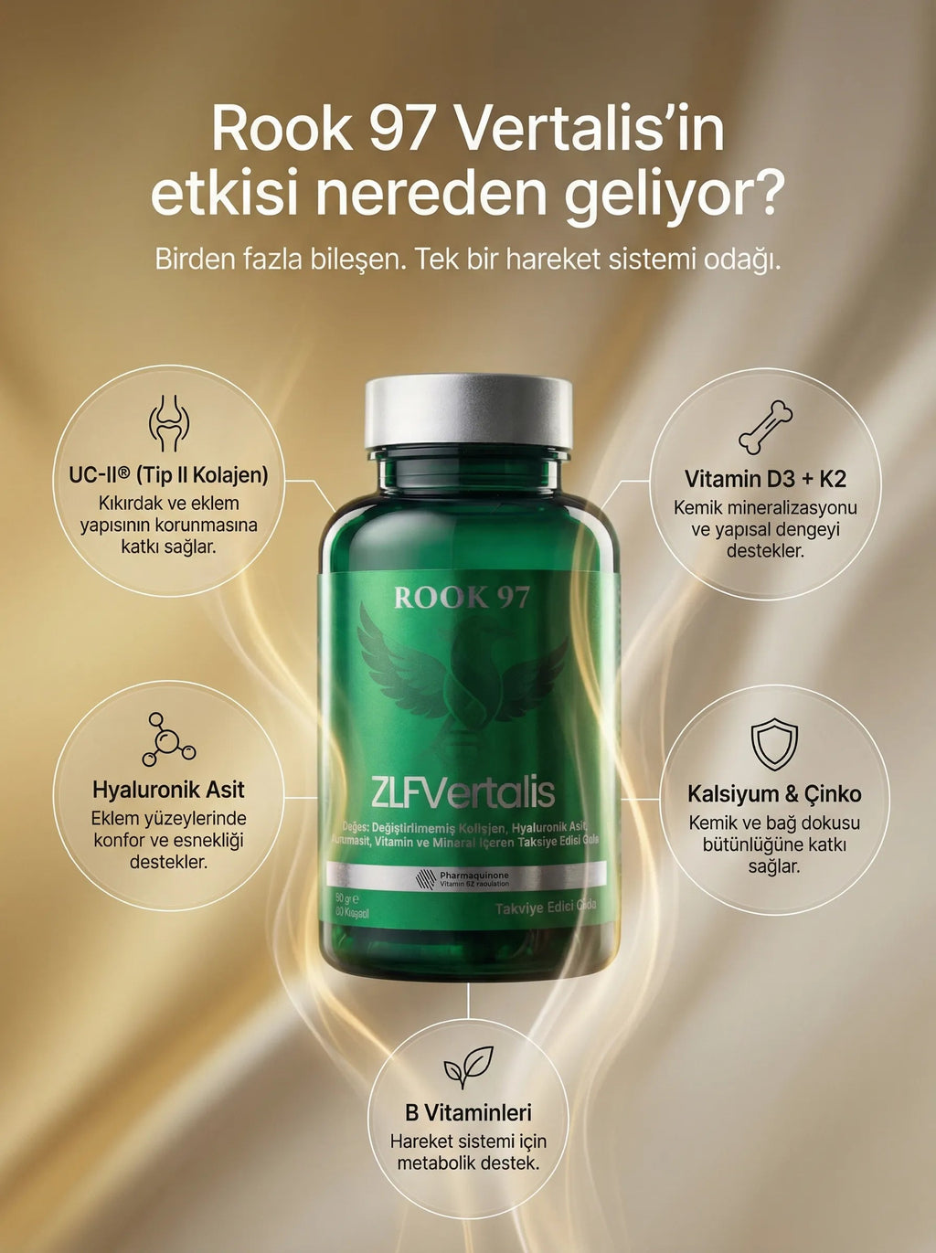 ZLF Vertalis