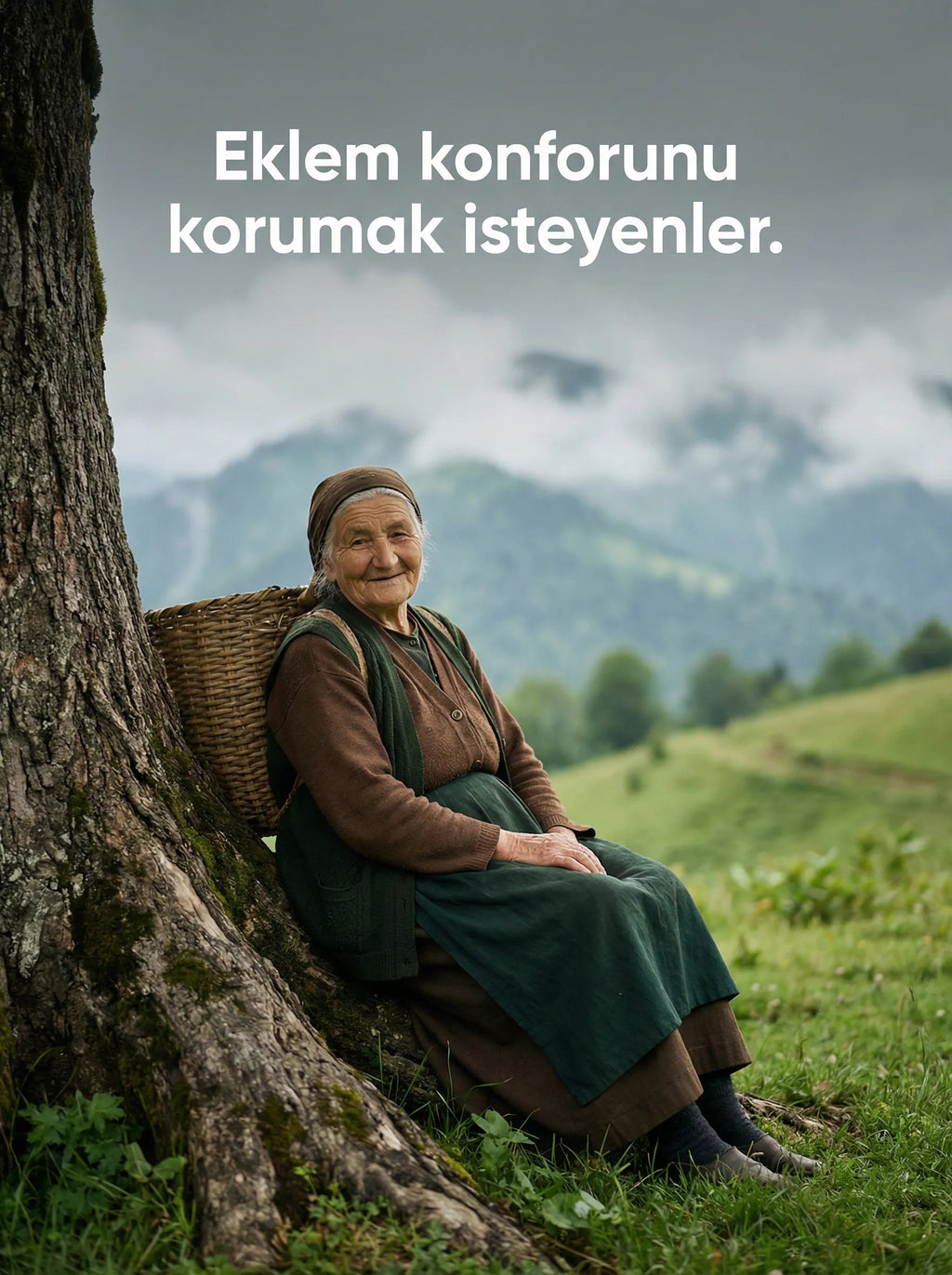 ZLF Vertalis